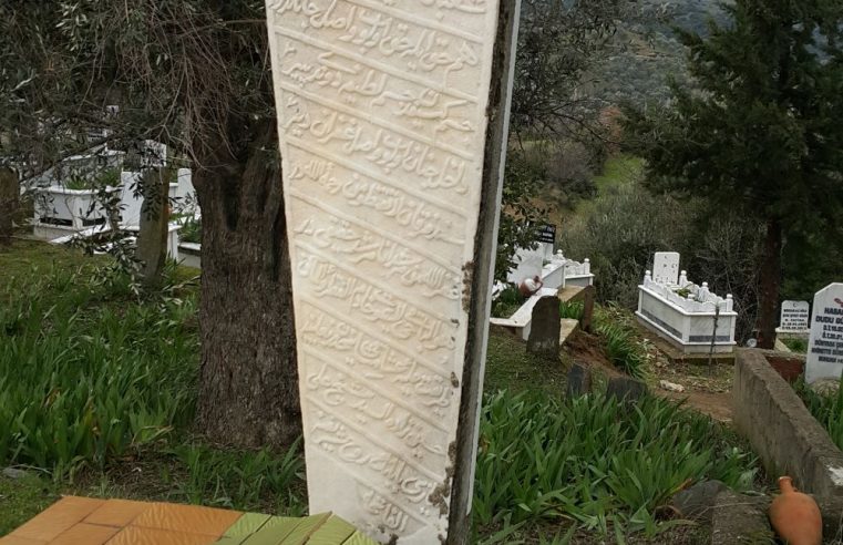 Ali Niyazi Baba